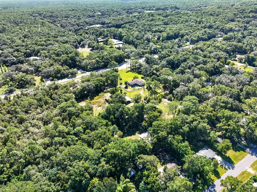 51 E Ponkan Road Apopka FL 32712