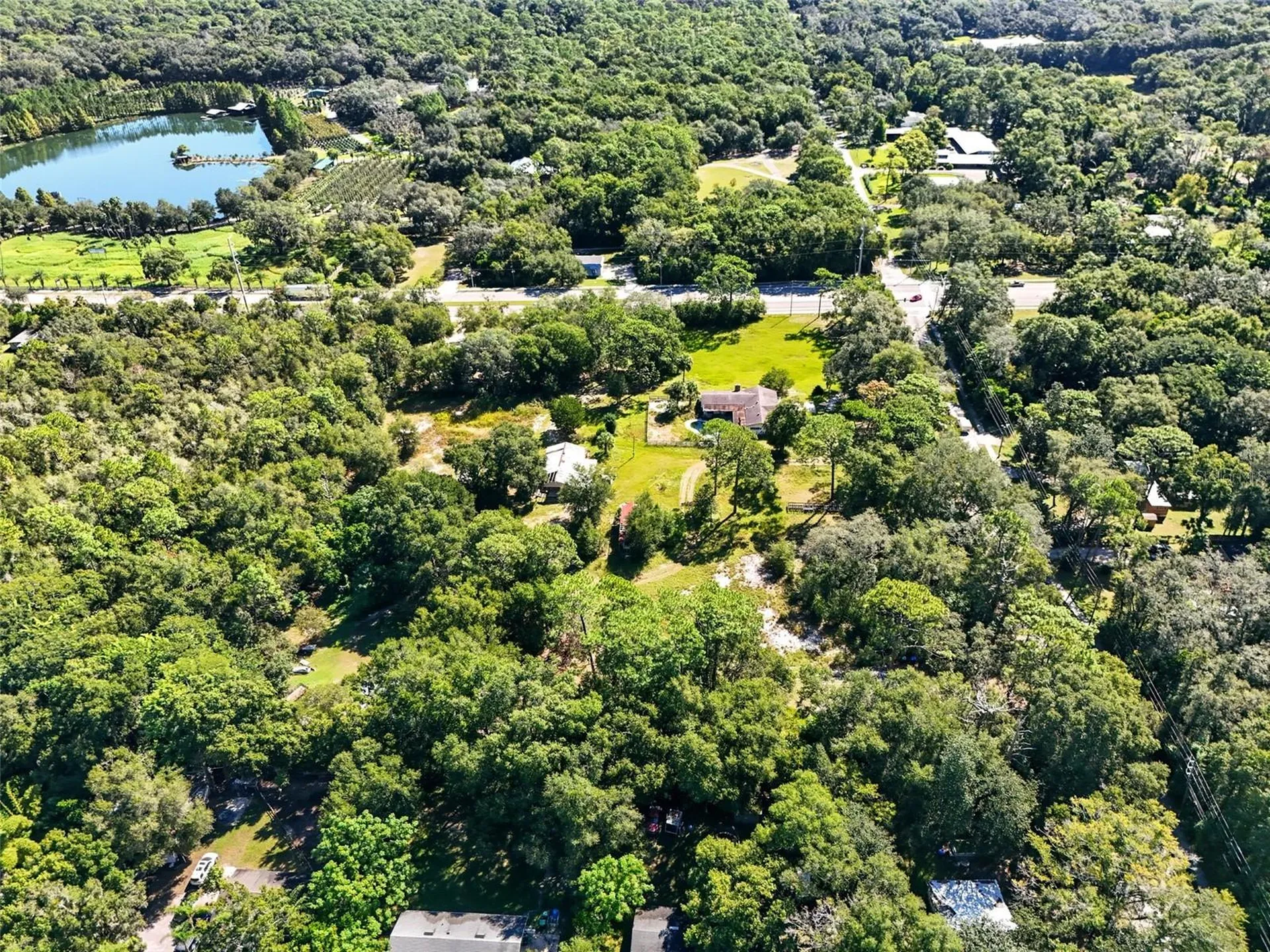51 E Ponkan Road Apopka FL 32712