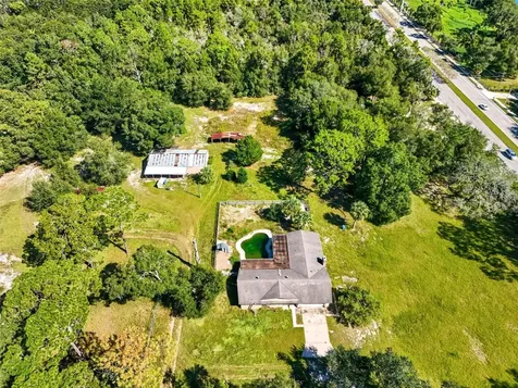51 E Ponkan Road Apopka FL 32712