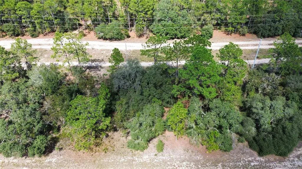 3341 W Wilhelm Street Citrus Springs FL 34433