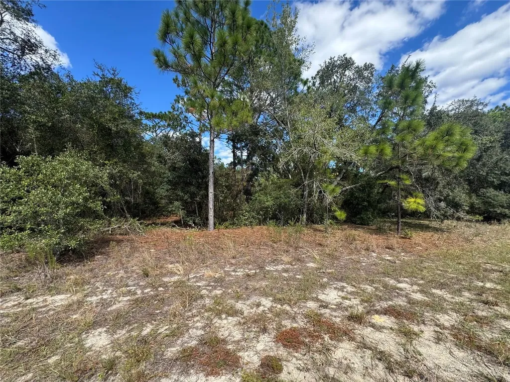 3341 W Wilhelm Street Citrus Springs FL 34433