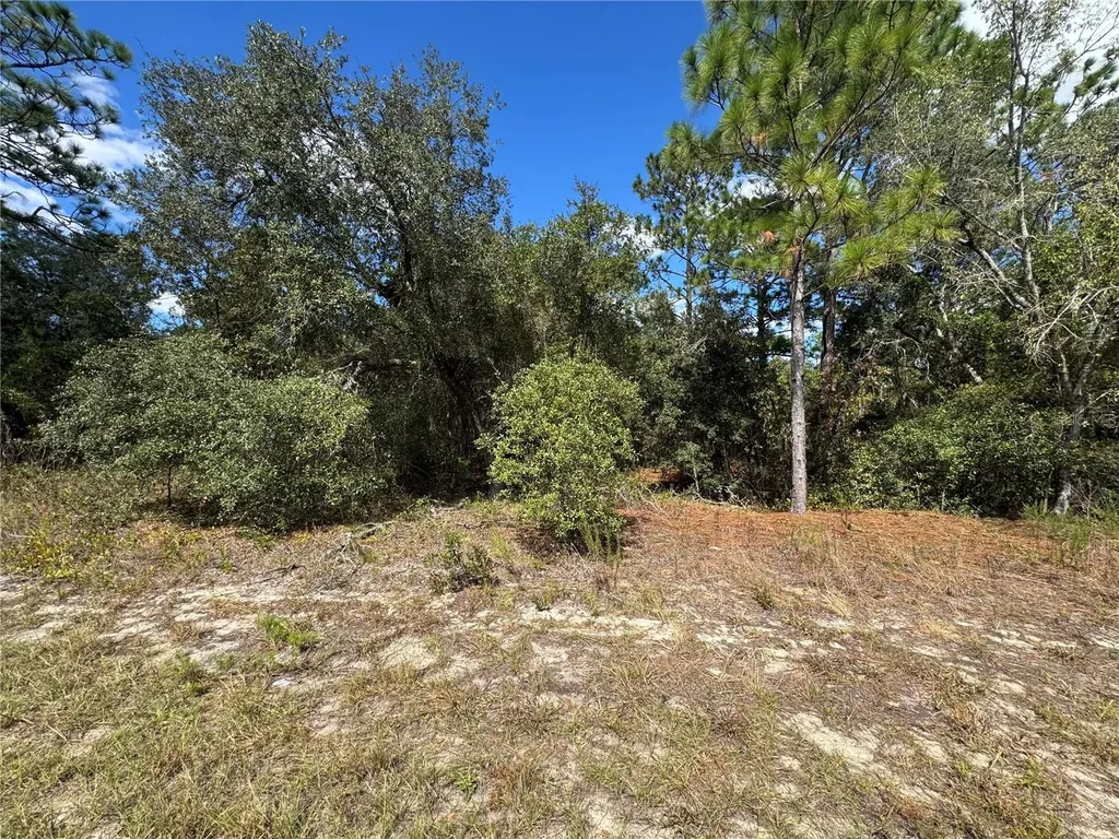 3341 W Wilhelm Street Citrus Springs FL 34433