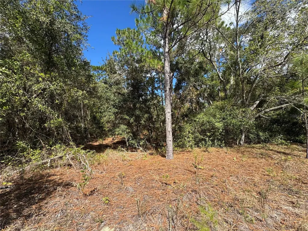 3341 W Wilhelm Street Citrus Springs FL 34433