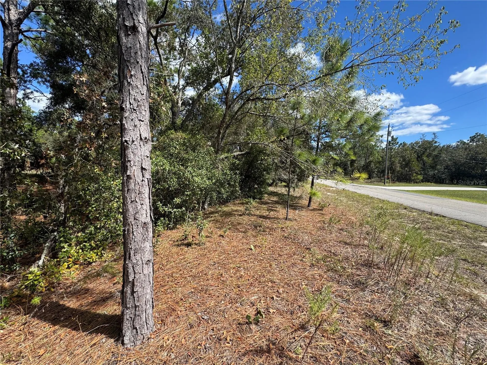 3341 W Wilhelm Street Citrus Springs FL 34433
