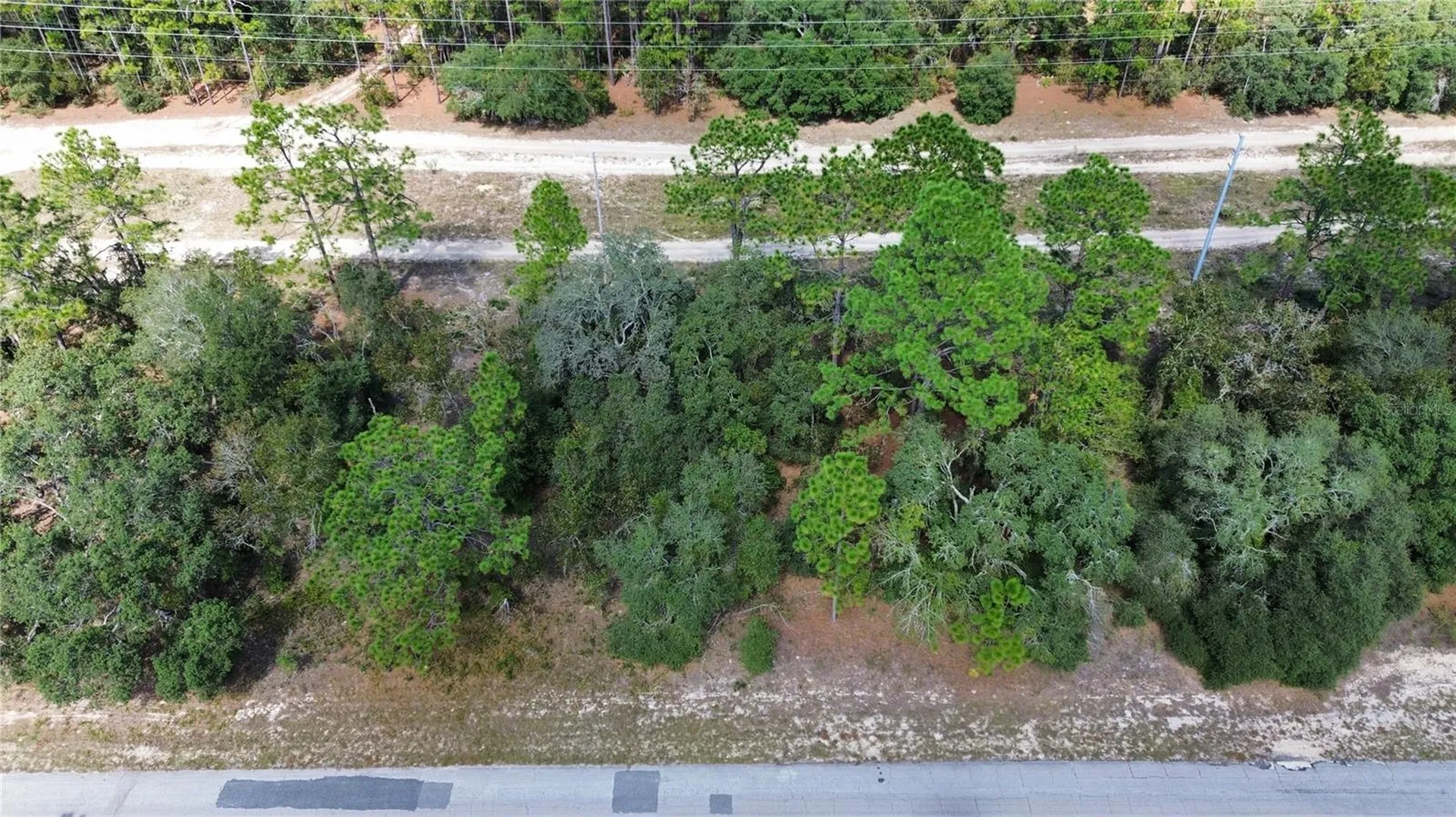 3341 W Wilhelm Street Citrus Springs FL 34433