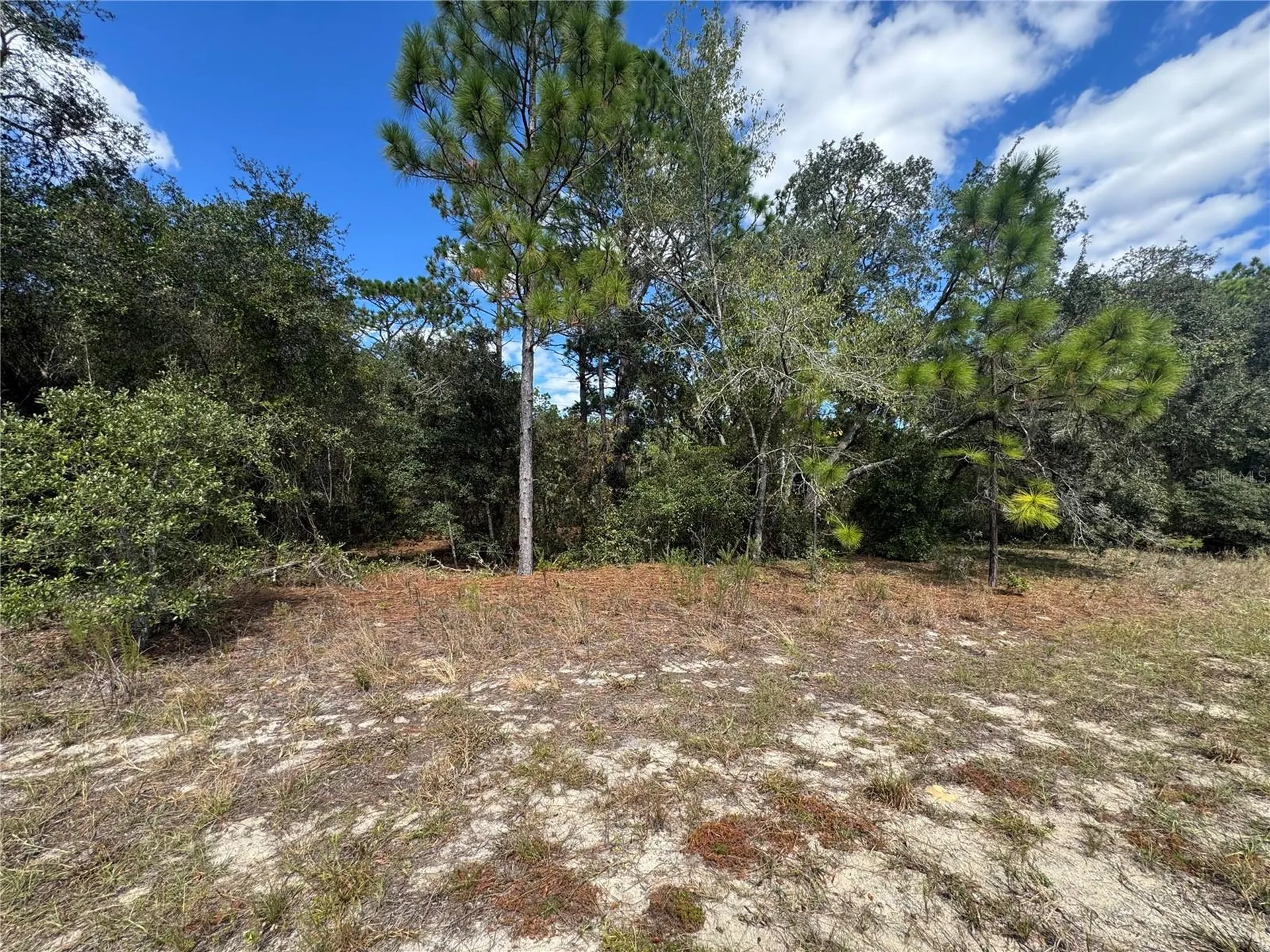 3341 W Wilhelm Street Citrus Springs FL 34433