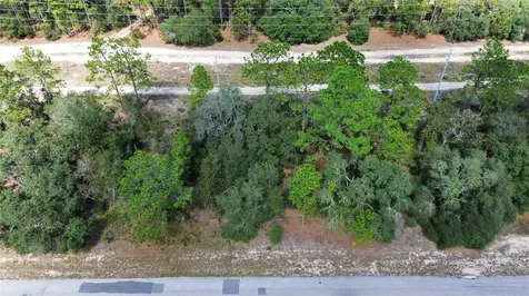 3341 W Wilhelm Street Citrus Springs FL 34433