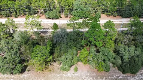 3341 W Wilhelm Street Citrus Springs FL 34433