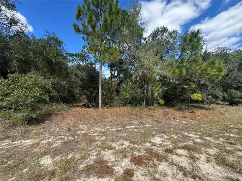 3341 W Wilhelm Street Citrus Springs FL 34433