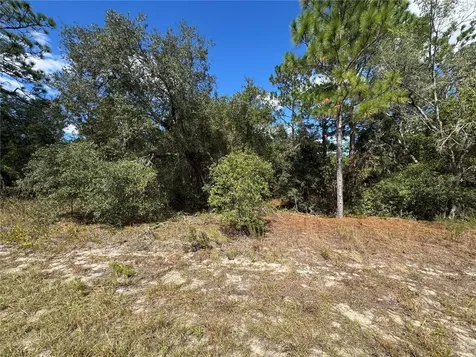 3341 W Wilhelm Street Citrus Springs FL 34433