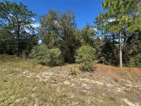 3341 W Wilhelm Street Citrus Springs FL 34433