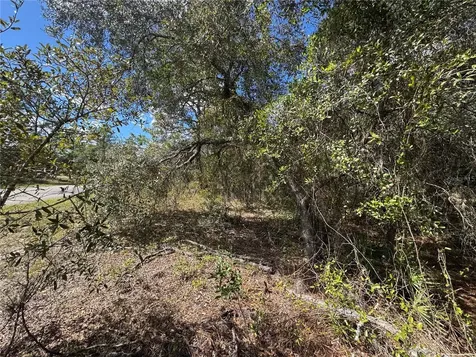 3341 W Wilhelm Street Citrus Springs FL 34433