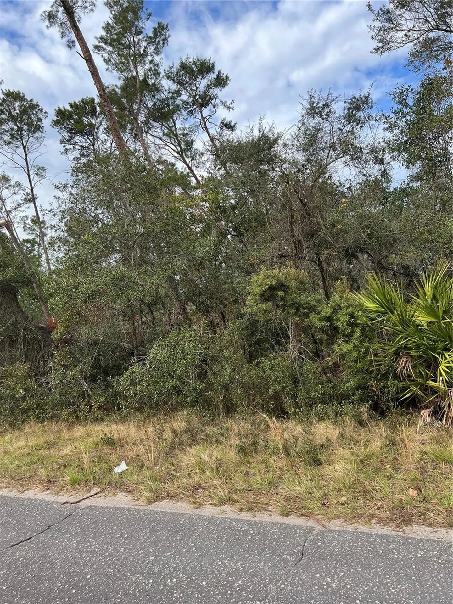 Fishermans Road Paisley FL 32767