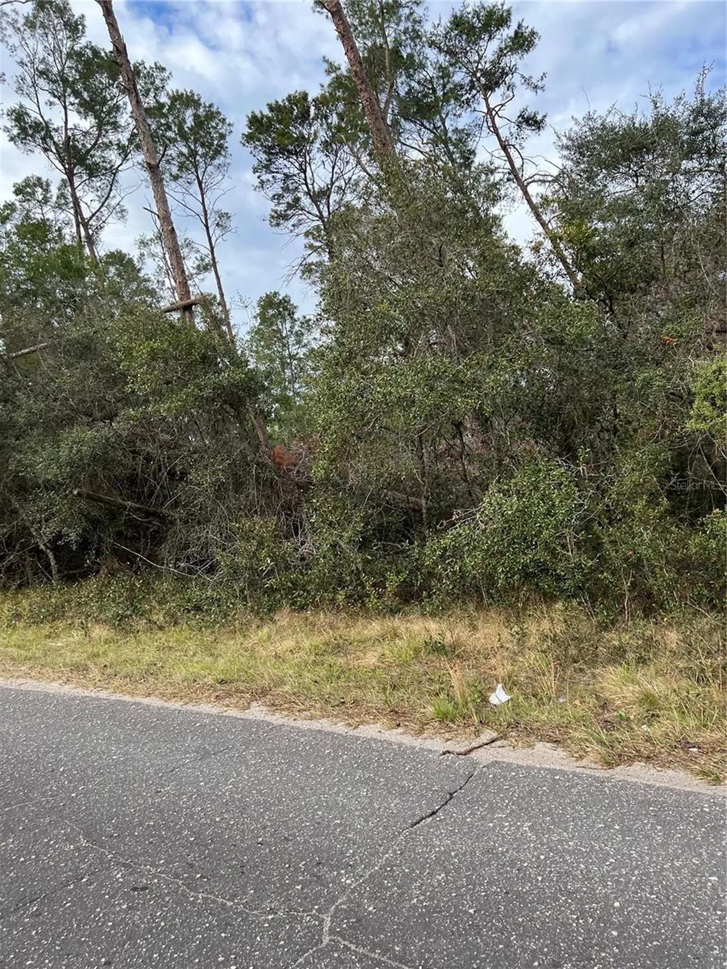Fishermans Road Paisley FL 32767
