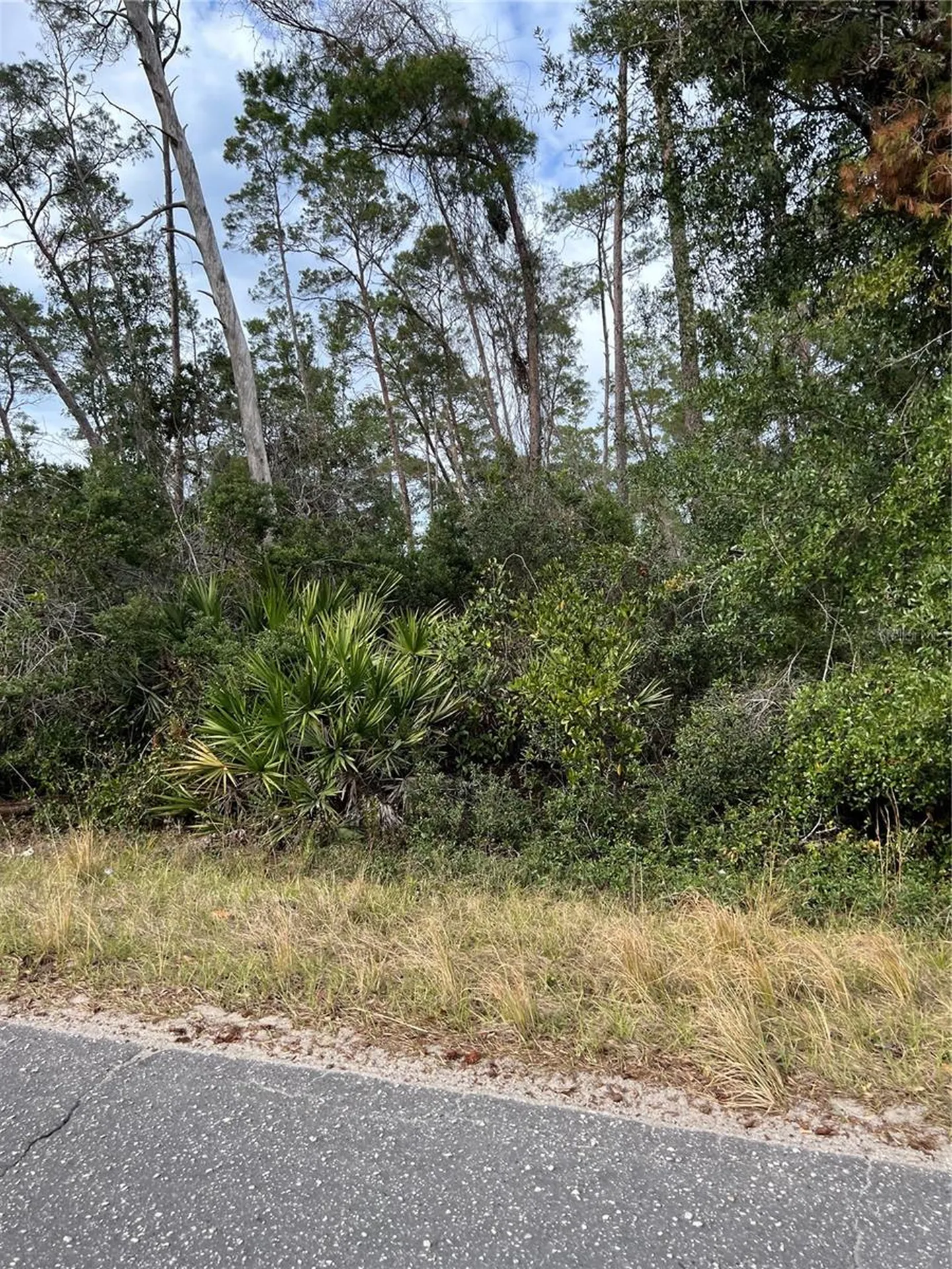 Fishermans Road Paisley FL 32767
