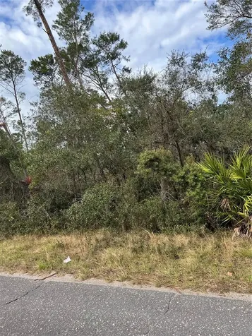 Fishermans Road Paisley FL 32767