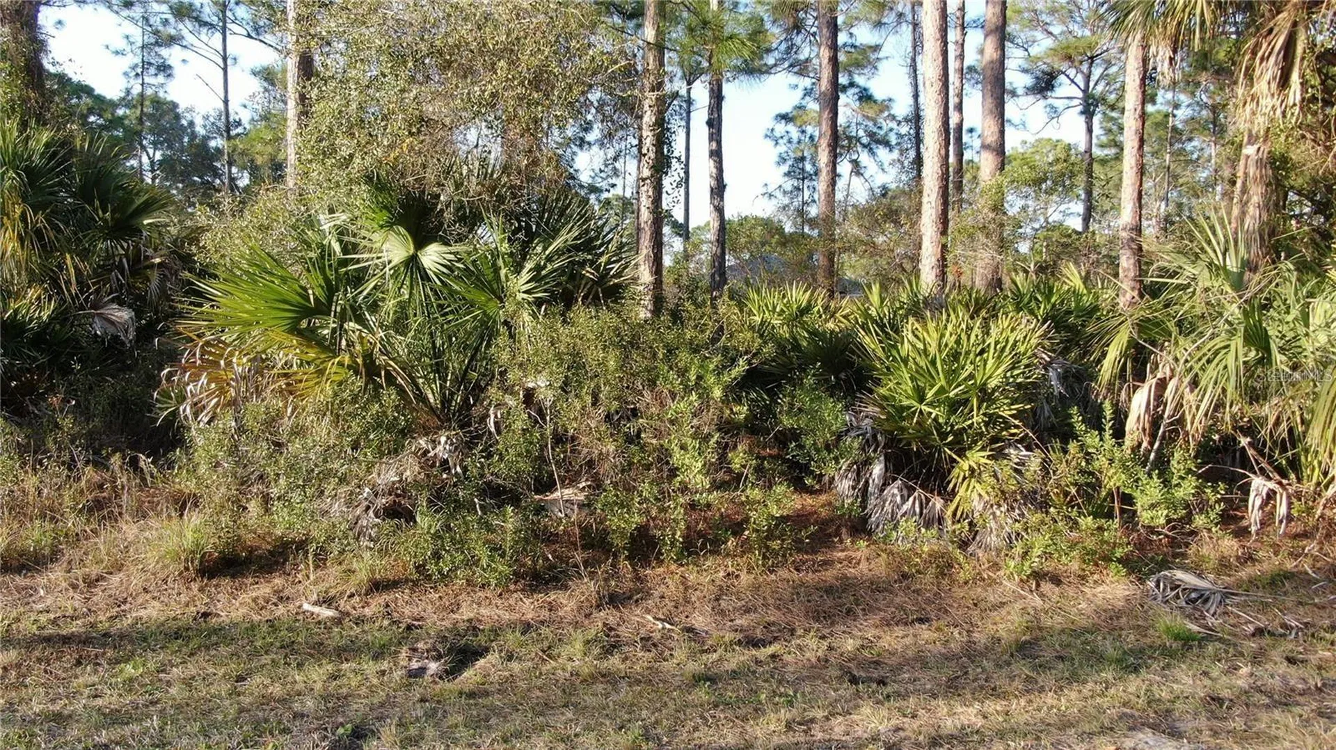 Trapp Street North Port FL 34291