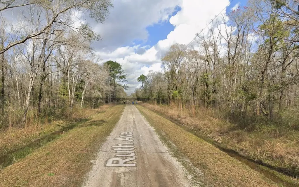 10535 Ruth Avenue Hastings FL 32145