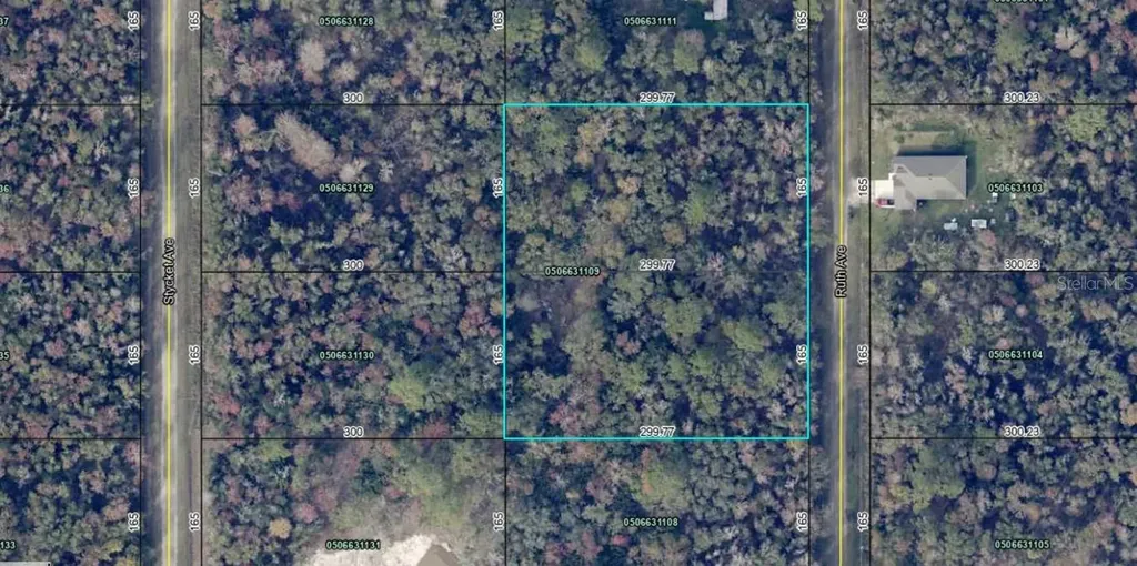 10535 Ruth Avenue Hastings FL 32145
