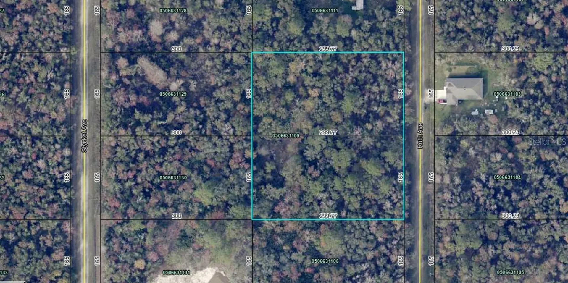 10535 Ruth Avenue Hastings FL 32145