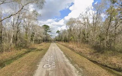 10535 Ruth Avenue Hastings FL 32145