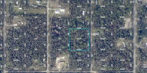 10535 Ruth Avenue Hastings FL 32145