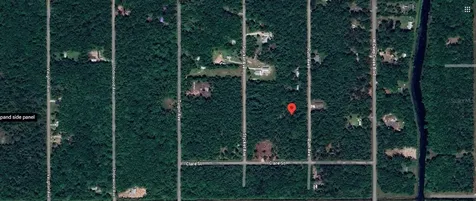 10535 Ruth Avenue Hastings FL 32145
