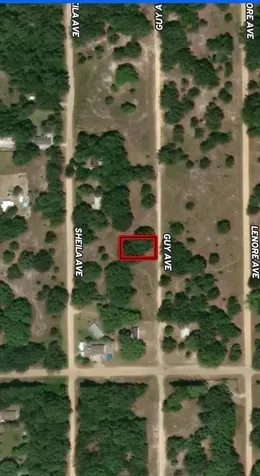 Lot 24 Guy Avenue Interlachen FL 32148
