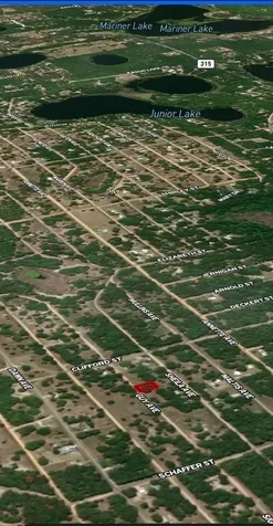 Lot 24 Guy Avenue Interlachen FL 32148