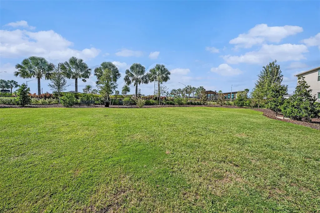 5521 Brooklet Woods Drive Wesley Chapel FL 33545