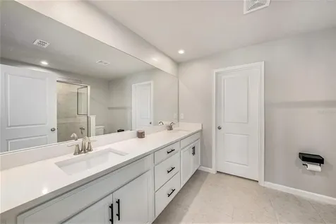 5521 Brooklet Woods Drive Wesley Chapel FL 33545