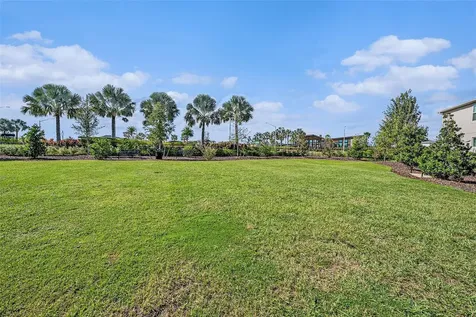 5521 Brooklet Woods Drive Wesley Chapel FL 33545
