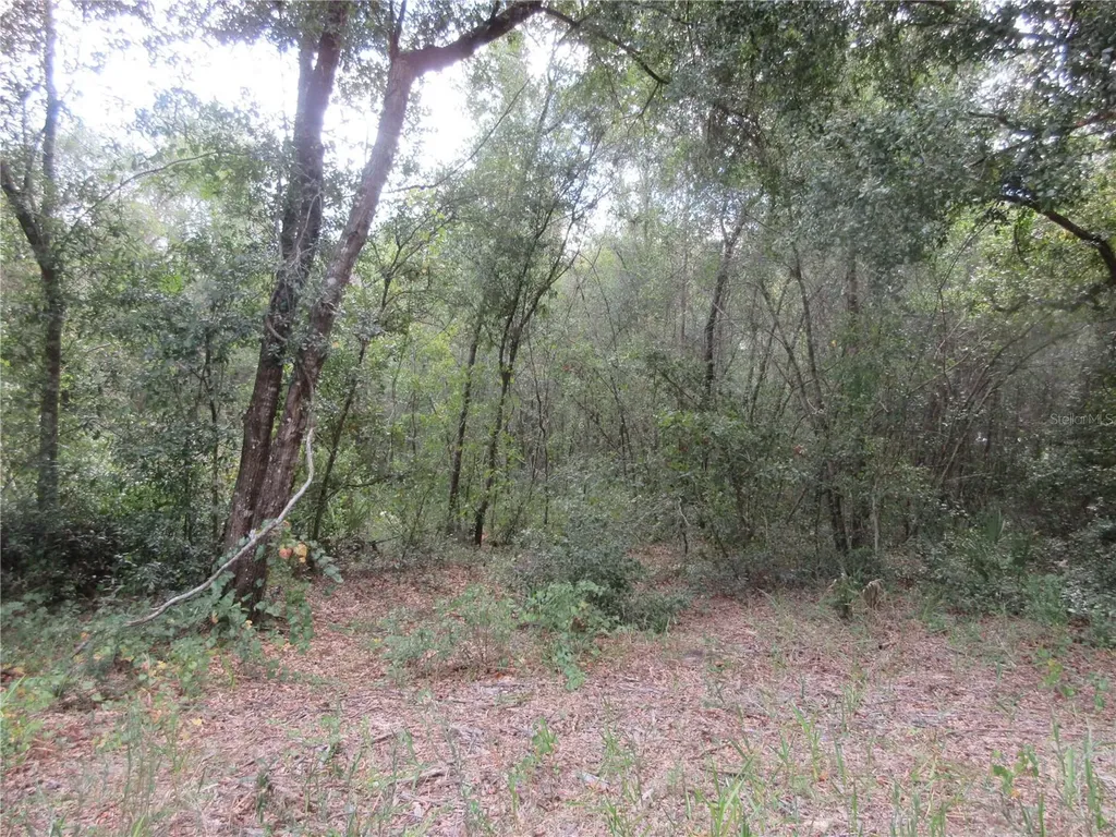 SE 1 Lane Silver Springs FL 34488
