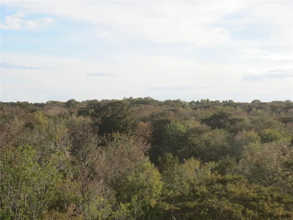 SE 1 Lane Silver Springs FL 34488