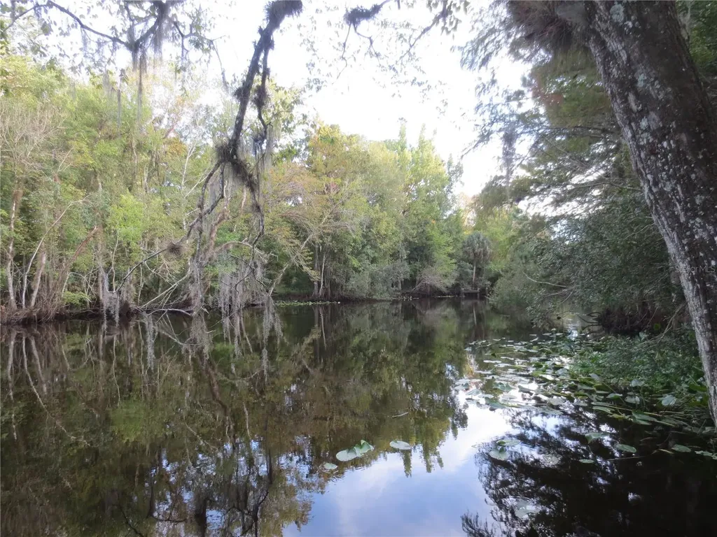 SE 1 Lane Silver Springs FL 34488