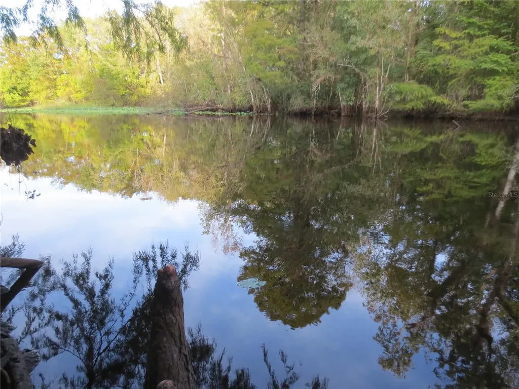 SE 1 Lane Silver Springs FL 34488