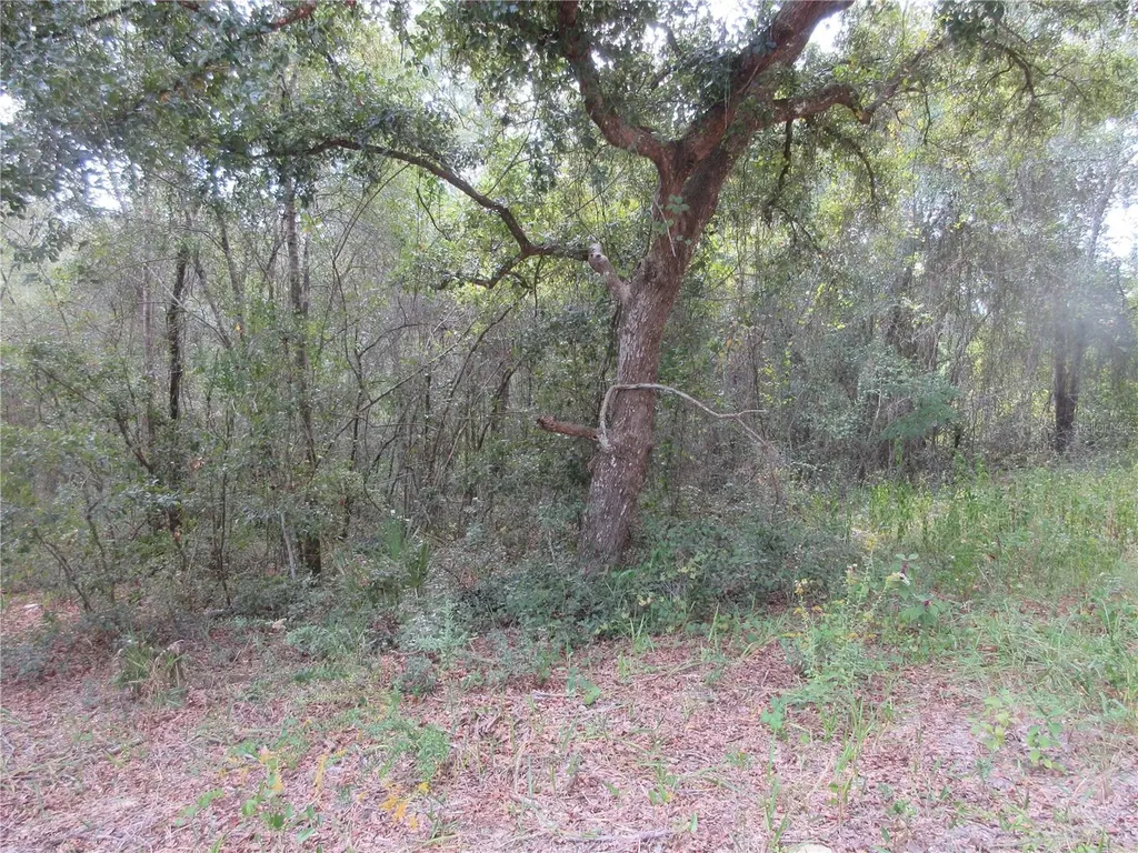 SE 1 Lane Silver Springs FL 34488