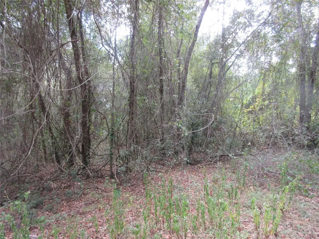 SE 1 Lane Silver Springs FL 34488