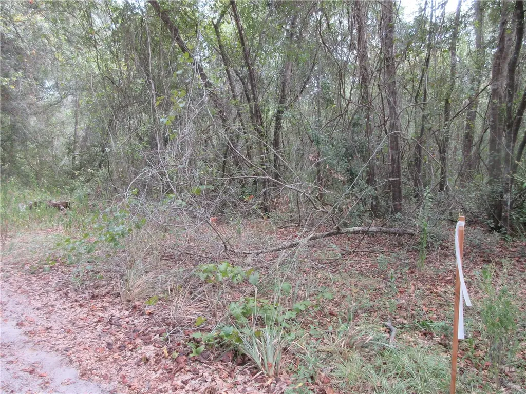 SE 1 Lane Silver Springs FL 34488
