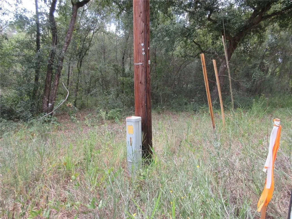 SE 1 Lane Silver Springs FL 34488