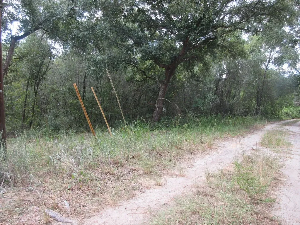 SE 1 Lane Silver Springs FL 34488