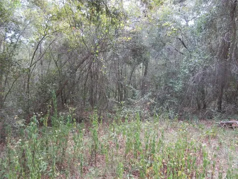 SE 1 Lane Silver Springs FL 34488