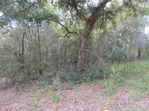 SE 1 Lane Silver Springs FL 34488