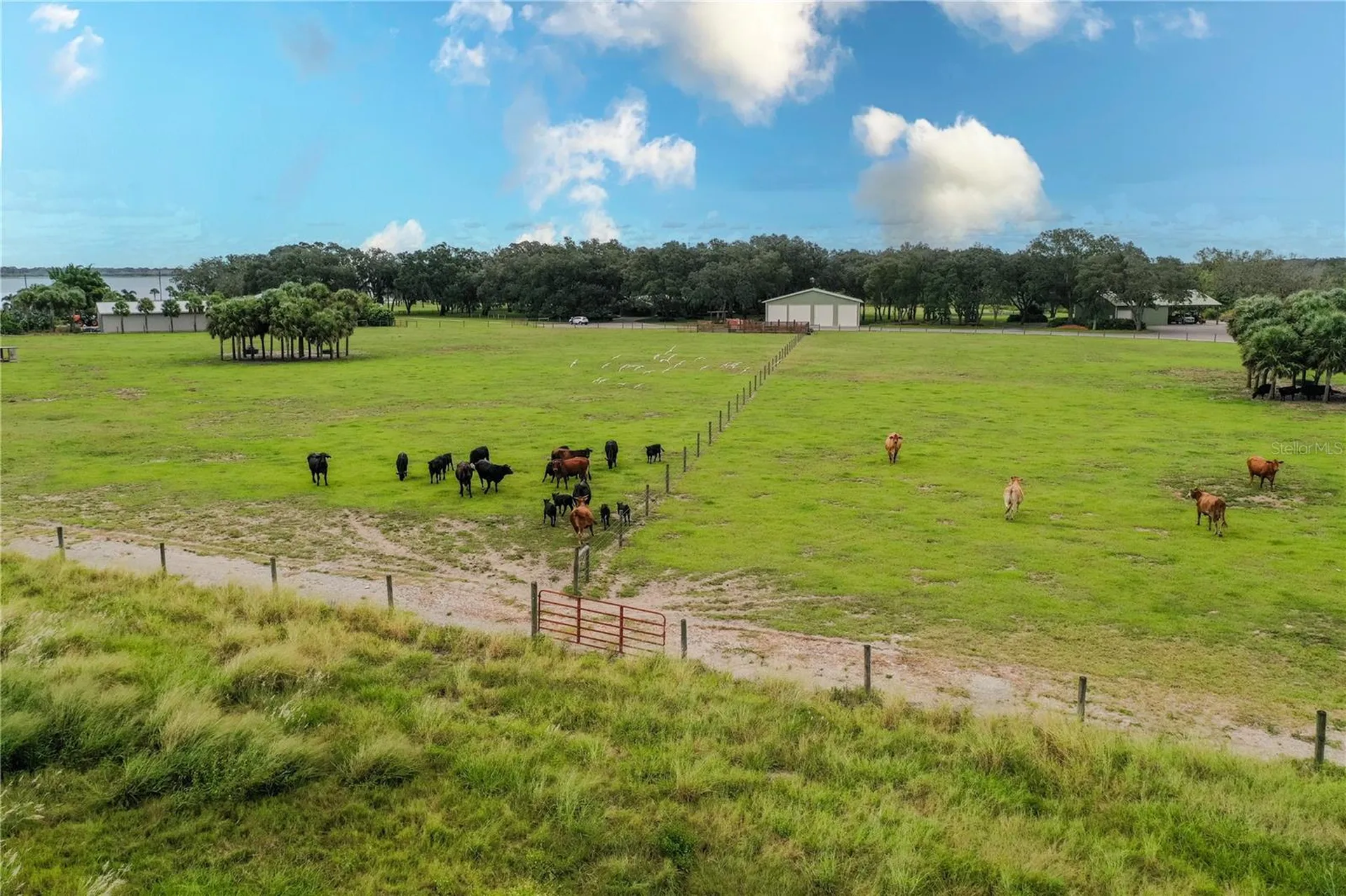 8006 Lake Lowery Road Haines City FL 33844