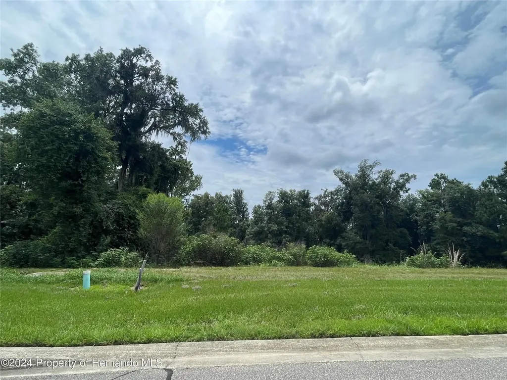 5995 Creek Ridge Road Brooksville FL 34601