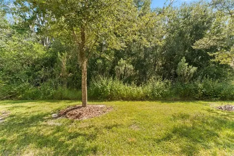 1656 Hubbell Road Wesley Chapel FL 33543