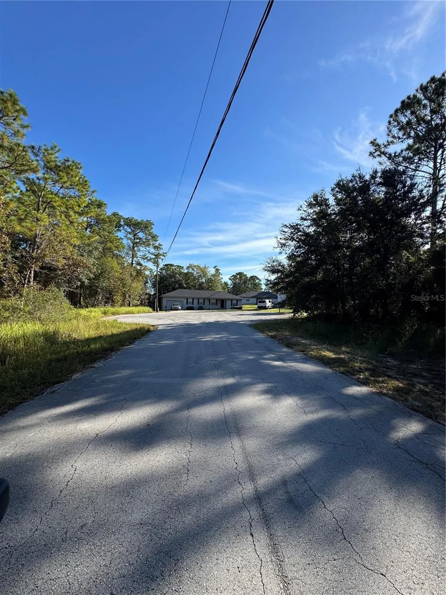 Tbd Hemlock Loop Drive Ocala FL 34472
