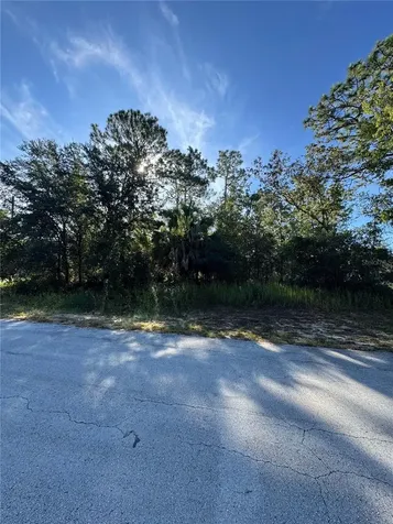Tbd Hemlock Loop Drive Ocala FL 34472