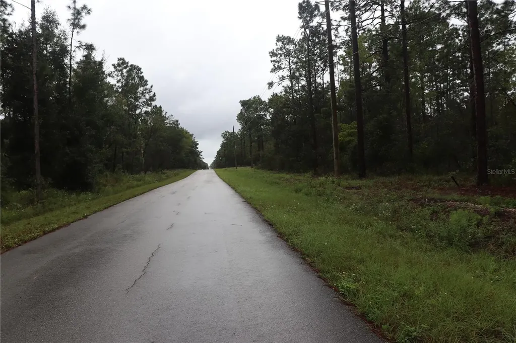 00 NW Beuna Vista Road Dunnellon FL 34431