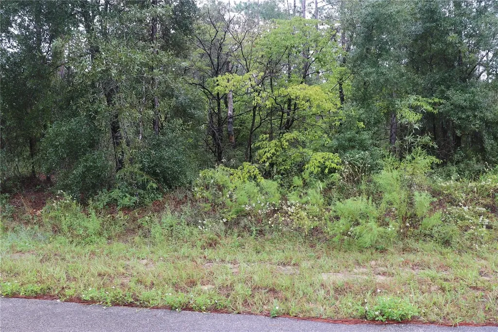 00 NW Beuna Vista Road Dunnellon FL 34431